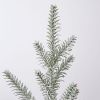 Tabletop Fir Tree in Galvanized Pot