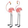 Flamboyant Flamingo Garden Stakes (Set of 2)