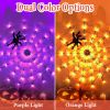 3.28FT Spider Web Light with Hairy Spider 70LED Battery Powered Remote Control 8 Lighting Modes Glowing Outdoor Indoor Wall Halloween Decoration